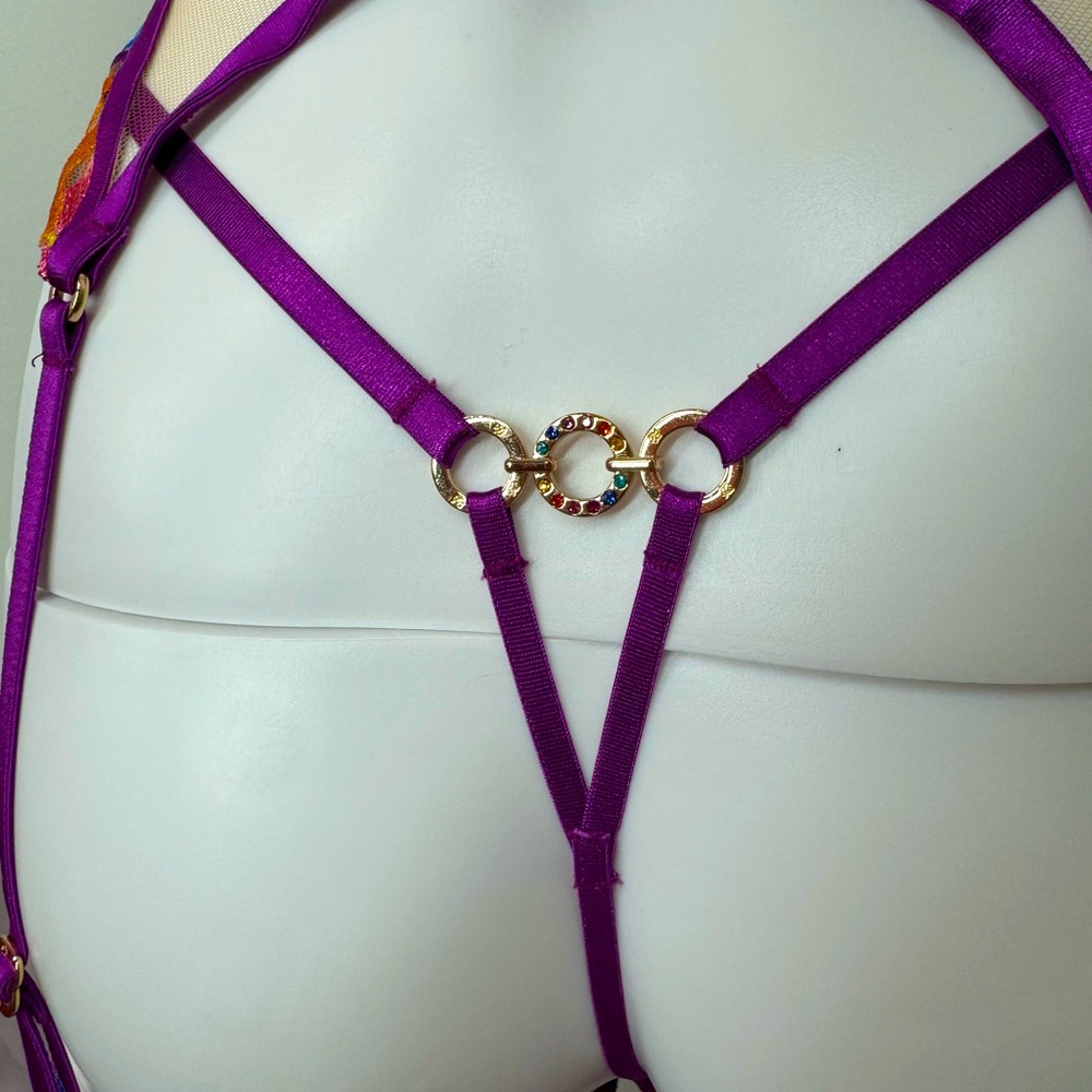 Honey Birdette Solange Rainbow Lingerie 5 Piece Set 30F, XXS - Picture 10 of 12